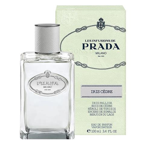 prada perfume iris cedre|iris cedre queen infusion.